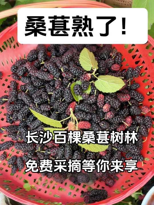 L(zhng)ɳβL(zhng)ɳ@Ƭ[ɣְؘٿɣعժƺʥL(zhng)ɳδҰժɣɣ˲ժ